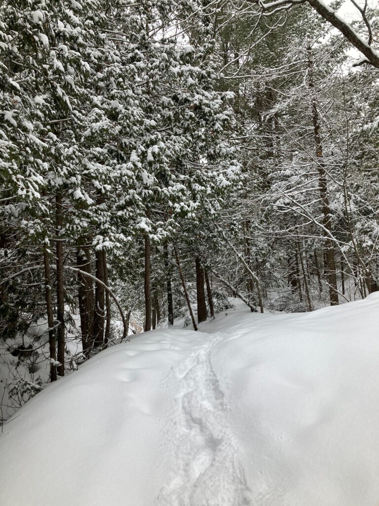 a snowy trail with deep footprints