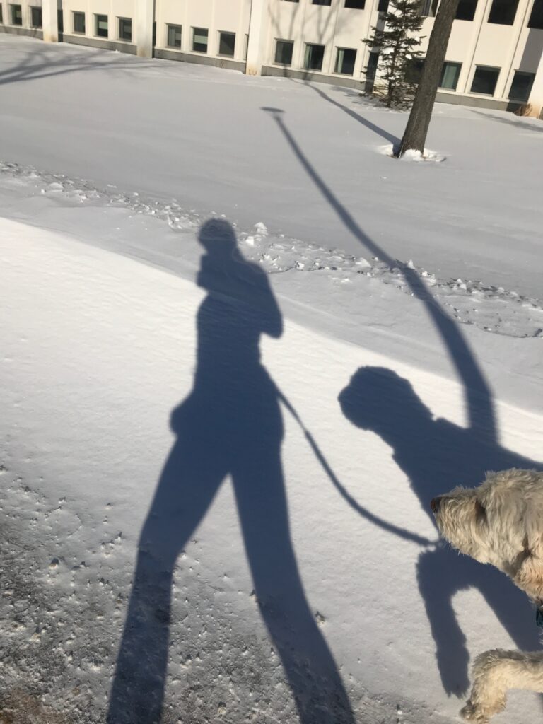 A silhouette on snow of a person running with a dog attached. The dog's face and front paw can be seen in the bottom right corner.